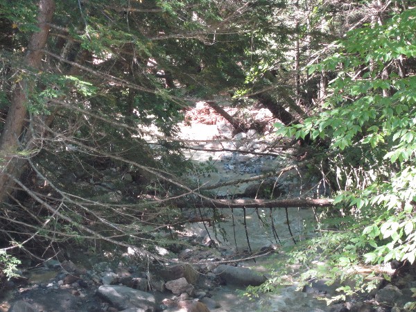 Buswell Pond Rd stream